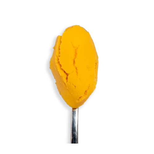LE SORBET - Mangue